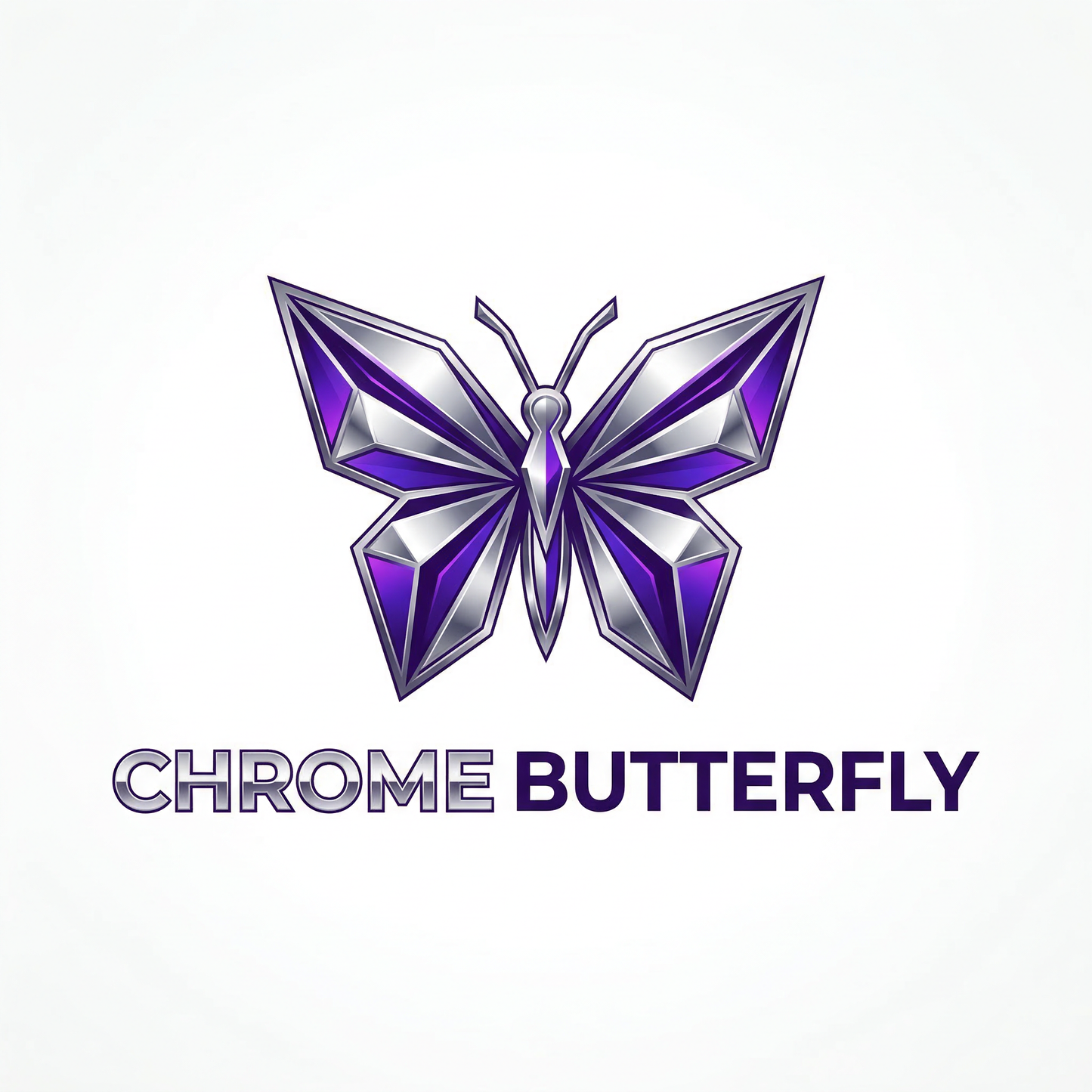 chromebutterfly.com